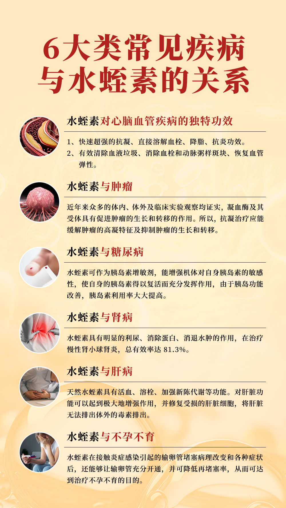 水蛭素詳情頁前頁（簡體版）_03.jpg